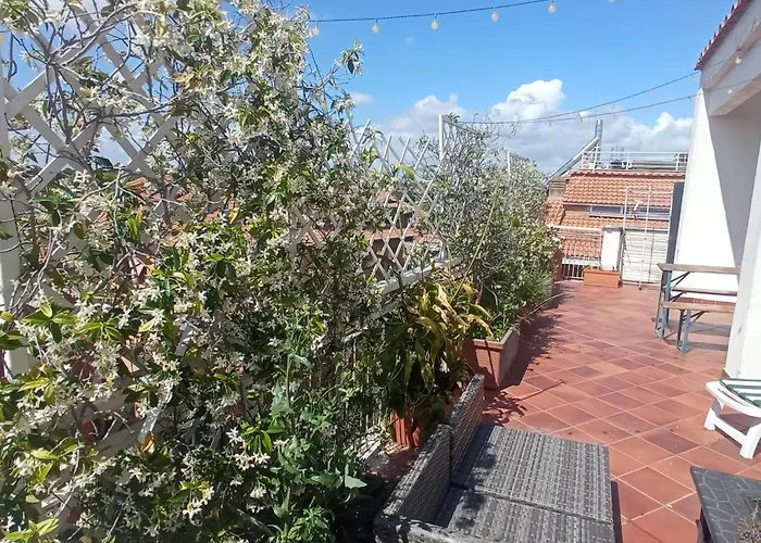 Rooftop Appia Antica , Silent And Reserved Two Bedrooms Two Bathrooms